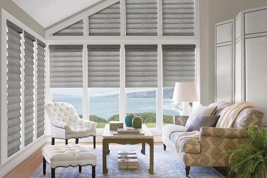 Roman Shades in living room